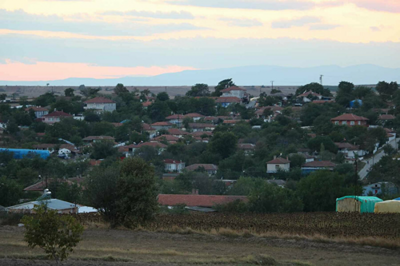 Edirne'de 'mavi dil' karantinası başlatıldı